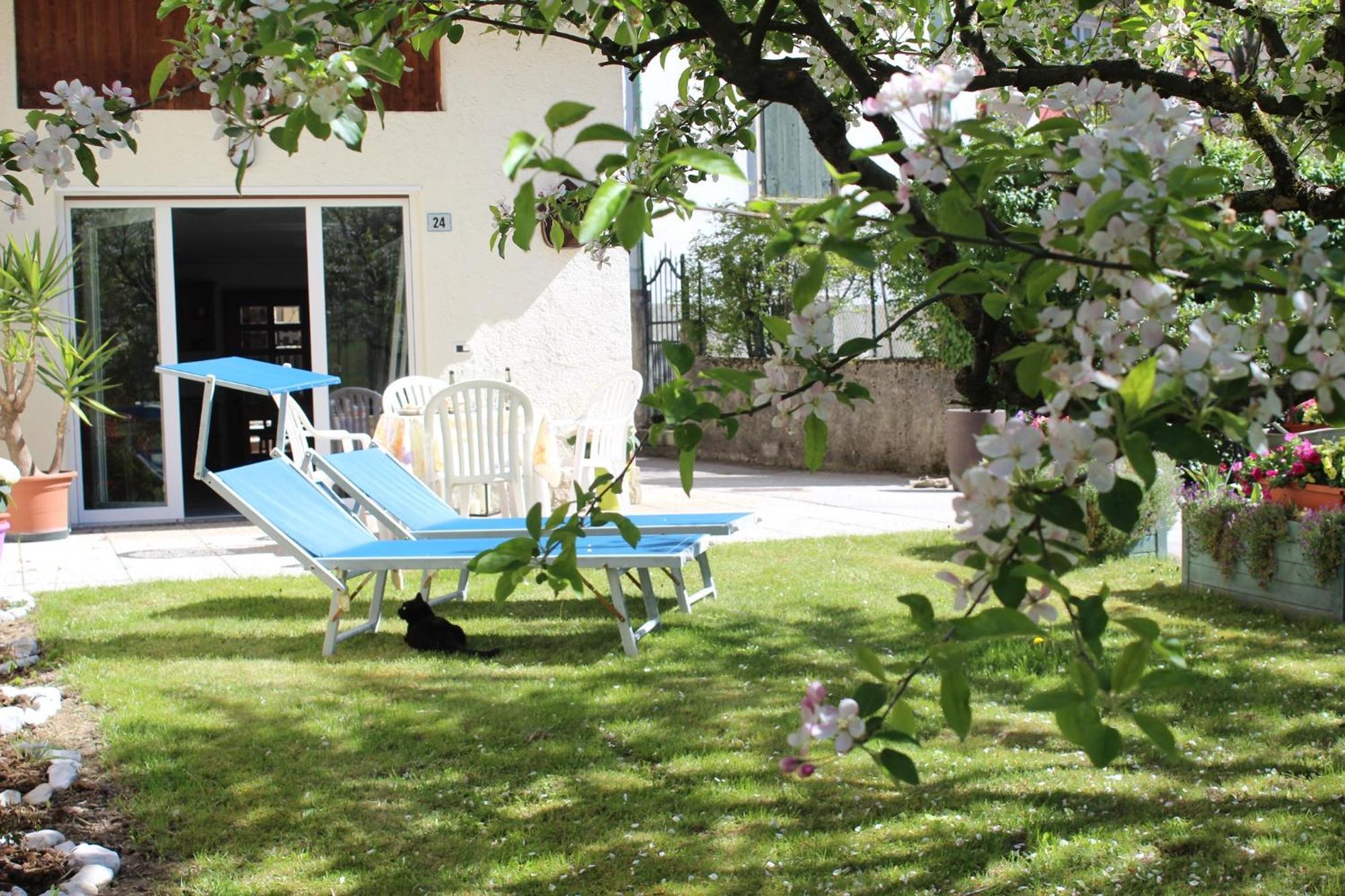 Residence Zecchini Tiarno di Sotto Kamer foto